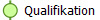 Qualifikation